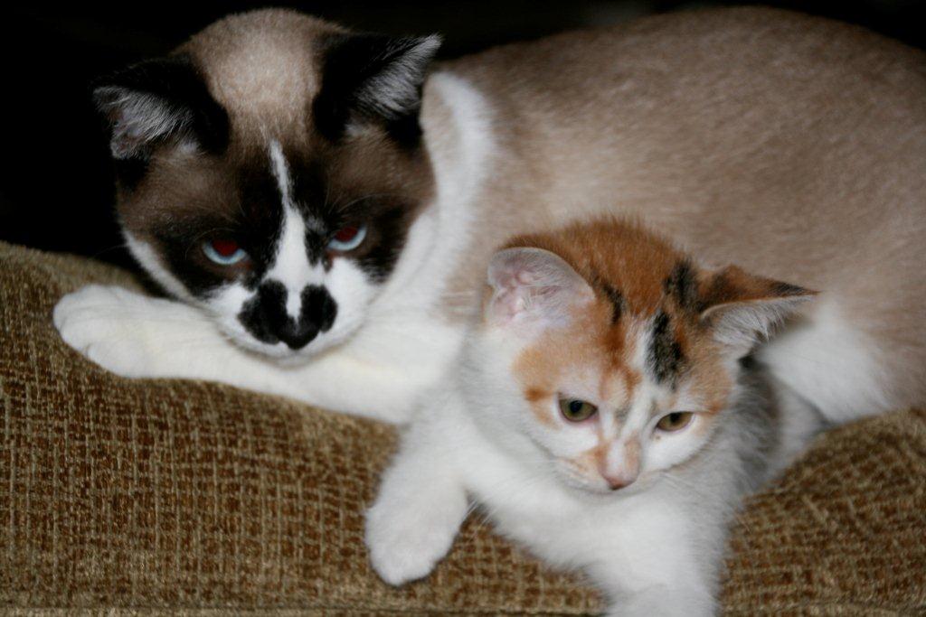 Libby & Lavender